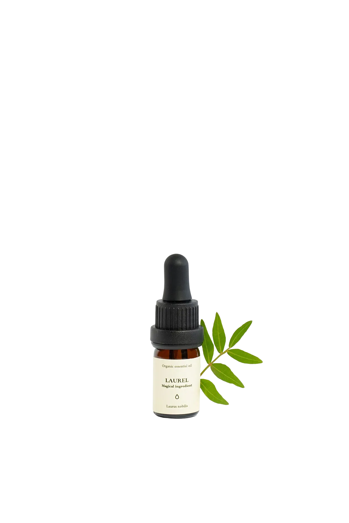 Laurel Organic Essential Oil