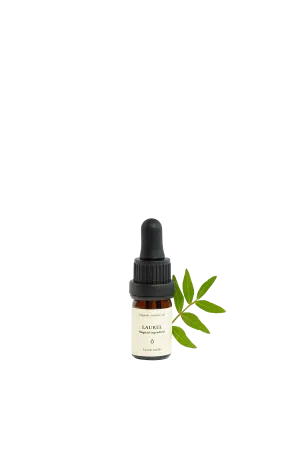 Laurel Organic Essential Oil