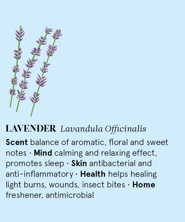 Lavender Essential Oil 12ml